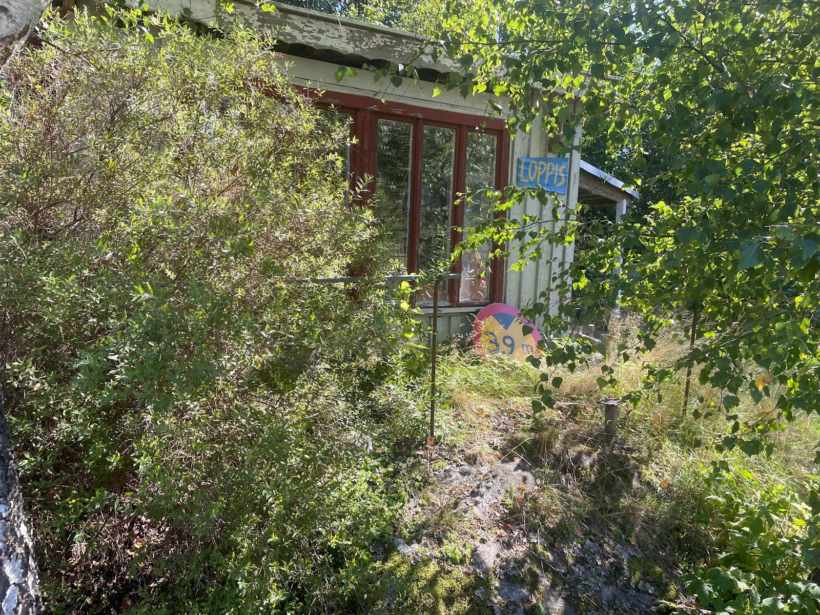 Main image