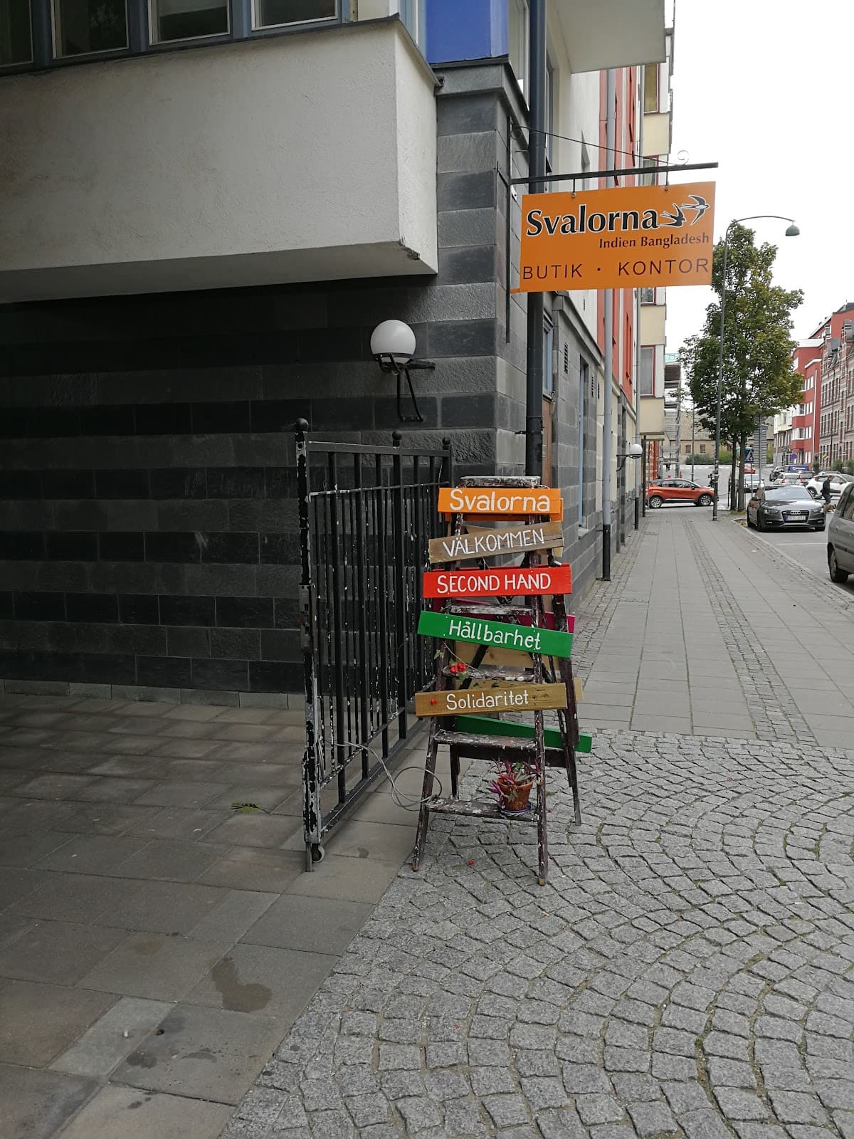 Main image